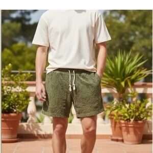 Chubbies Lounge Shorts Olive Green Soft Pineapple Size Small